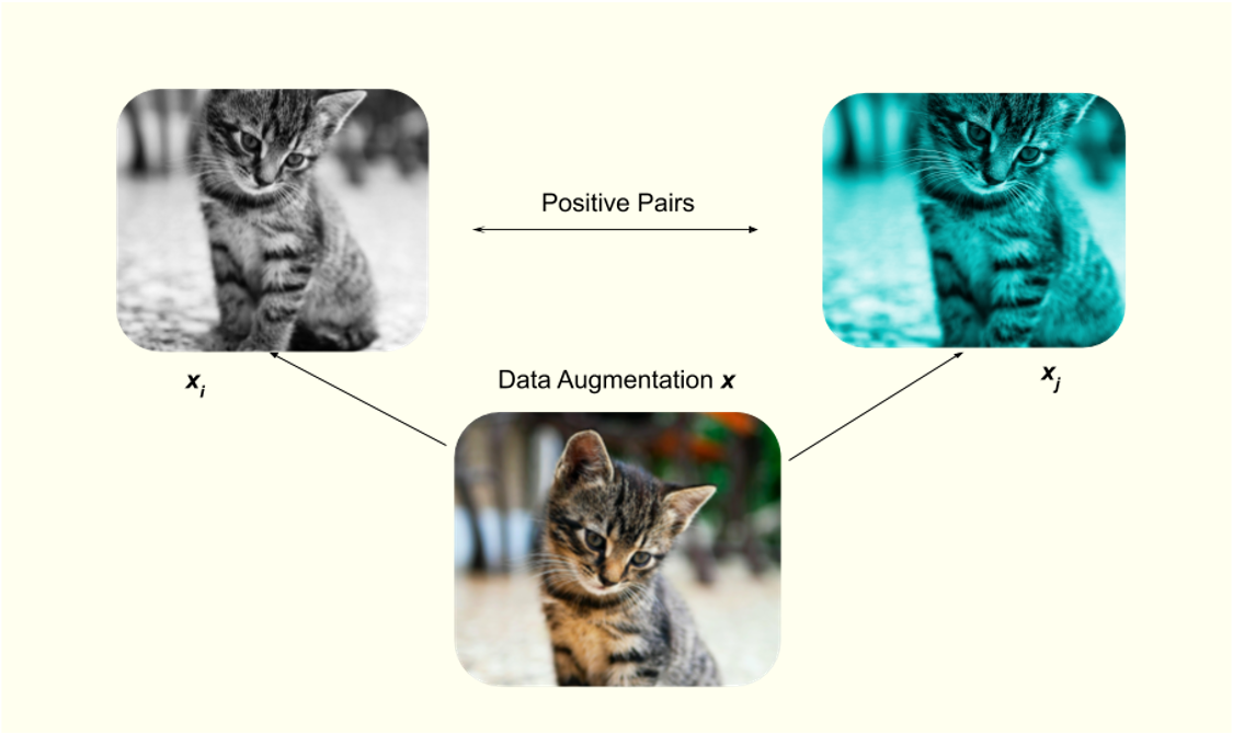 Contrastive learning review